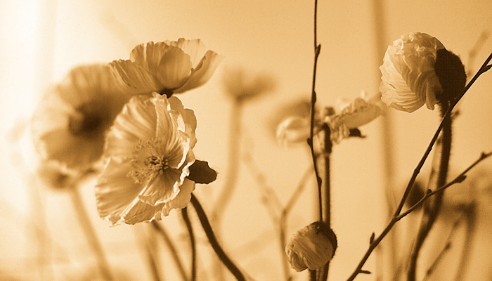 "Events sind die Verbindung von Information, Emotion, Aktion und Motivation."